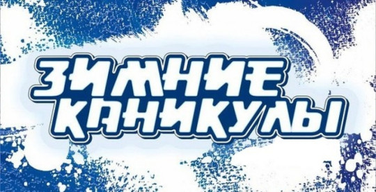 Зимние каникулы Зимние каникулы.